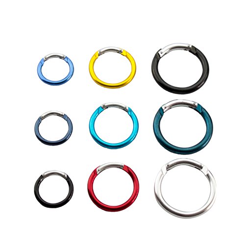 1.6 Inch Hiking Camping Spring Clip Aluminum Round Carabiner Hook, 6 Piece