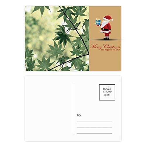Cartes postales feuille d'érable Père Noël x20 pour vos vœux