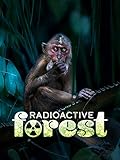 Radioactive Forest – 10 Years After