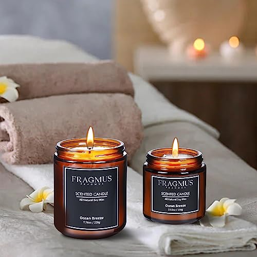 Fragmus FR01-100 Scented Candles Ocean Breeze,Calssic Scents Candle thumb #5