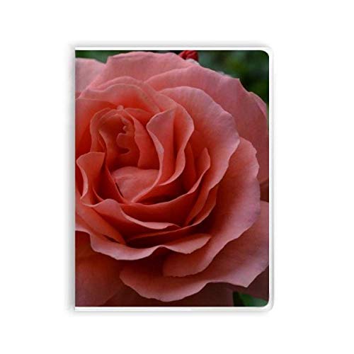 Carnet de notes souple d'exception aux pages vertes et roses raffinées