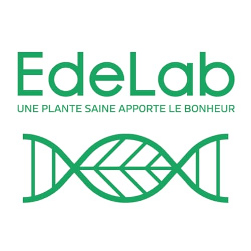 EdeLab & Research Explained! cover art