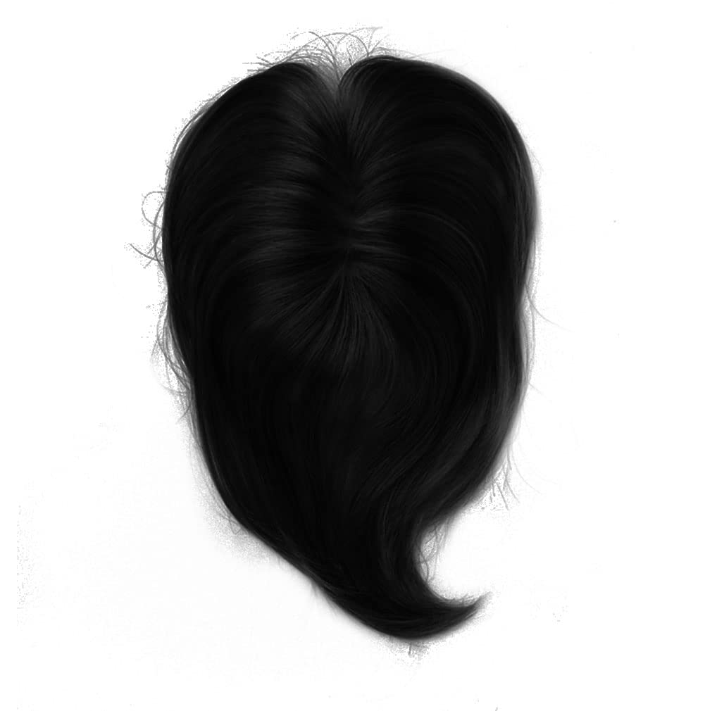 Raquel Welch Chameleon Hair Topper Color R1 Black Wigs Women's Synthetic Monofilament Base Clip In Bang Hairpiece Fringe