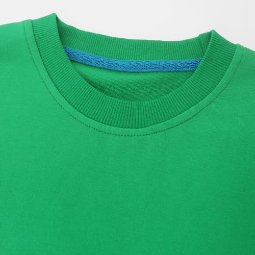 Toddler Boys Sweatshirts Patterned Pullover Crewneck Long Sleeve Cotton Animals Tops Shirts… White3