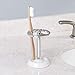 InterDesign York Holder holds upto 4 toothbrushes