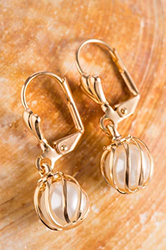Barzel 18K Gold Plated Pearl Drop Earrings Caged (Er308) #TOP4