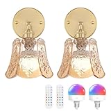 Shenmoyl Vintage Battery Operated Wall Sconces Set of Two, Wireless Battery Powered Rose Wall Sconce with Remote Control, RGB Dimmable LED Wall Light for Bedside Bedroom Living Room (Amber)