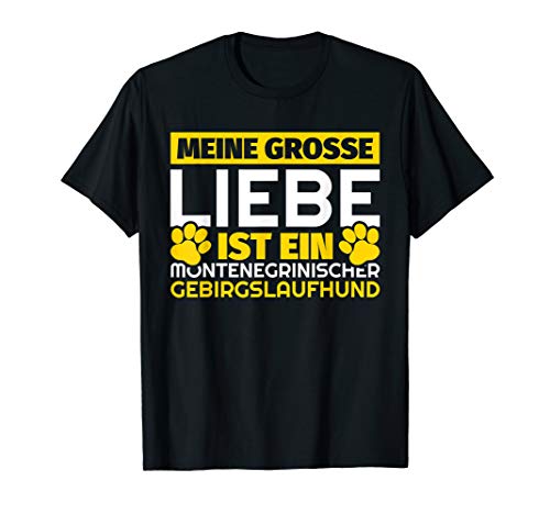 Wie alt wird meine katze teste dich