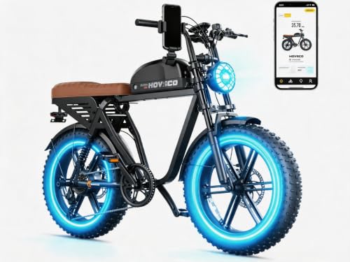 HOVSCO Electric Fat Tire E-Bike with Removable Battery
