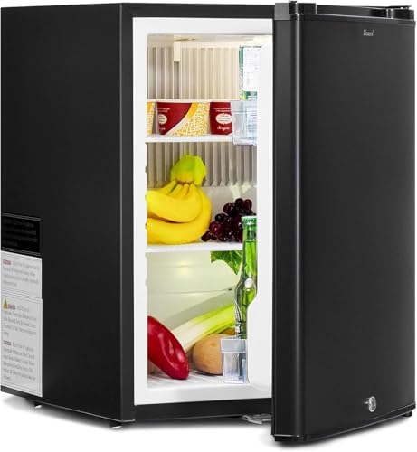 Smad No Noise 110V/12V Compact Refrigerator RV Truck Caravan Beverage Car Mini Fridge with Lock, Reversible Door, 2.1 Cu.Ft, Black
