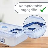 LocknLock PP CLASSIC Aufbewahrungsbox mit Deckel und Griffen | 10 L, 456 x 300 x 110 mm | 100 % Luftdicht | halbtransparenter Vorratsbehälter | Vorratsbehälter mit Deckel für Haushaltsgegenstände