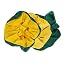 Bottle Green/ Yellow