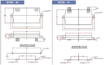 Belton Digi-Log Digital Delay 1H Reverb Module, Medium