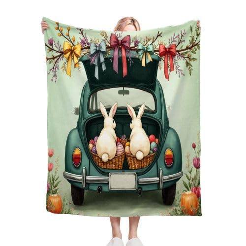 Plaid polaire 220x240 d'une douceur persistante lit king size haut de gamme A10