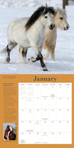 How To Think Like A Horse Wall Calendar 2025: Understanding Why Horses Do What They Do thumb #2
