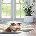 Personalized Dog Round Rug, Miniature American ShepherdDog Rug - Dog Rug for Boys Bedroom Kids Dog Rug for Boys Room Dog Rug for Playroom Living Room Dog Decor Carpet Sofa Mat, HGD-8088