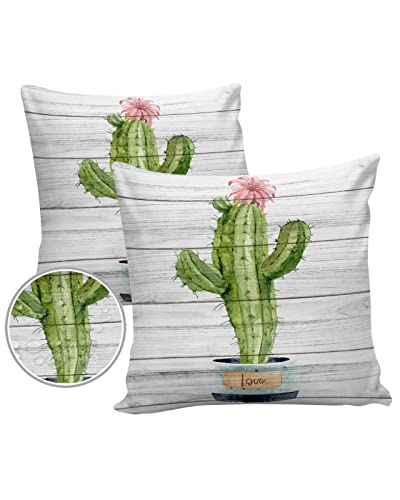 Outdoor Waterproof Pillow Covers Cactus In A Flowerpot Decorative Throw Pillow Cover Watercolor Tropical Plants Wood Grain Pillowcases Set of 2 Cushion Case for Patio Garden Sofa Couch 16x16 inch