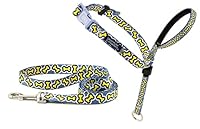 Algopix Similar Product 9 - PetSafe Chic Gentle Leader Headcollar