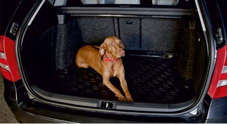 SIXTOL Vasca Bagagliaio Auto in Plastica per