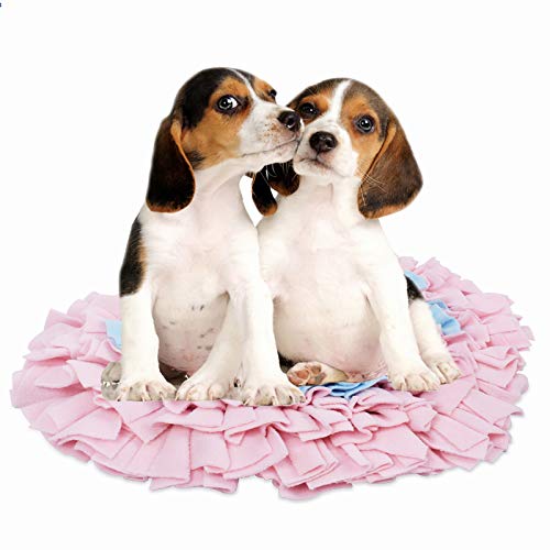 Tapis à priser chiens et jouets pour chiens interactifs