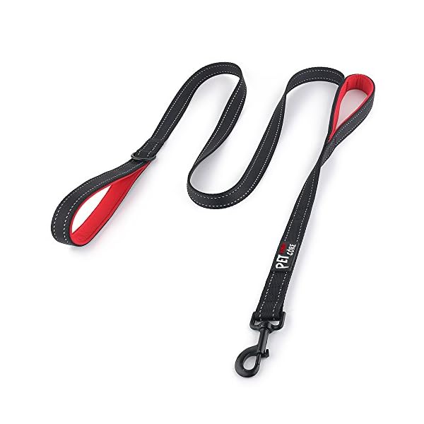 Pioneer Petcore Dog Leash 6ft Long – Traffic Padded Two Handle – Heavy Duty – Double Handles Lead for Control Safety Training – Leashes for Large Dogs or Medium Dogs – Dual Handles Leads(Black) Pioneer Petcore Dog Leash 6ft Long – Traffic Padded Two Handle – Heavy Duty – Double Handles Lead for Control Safety Training – Leashes for Large Dogs or Medium Dogs – Dual Handles Leads(Black)