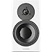 DYNAUDIO LYD 7 7 Inches Powered Studio Monitor
