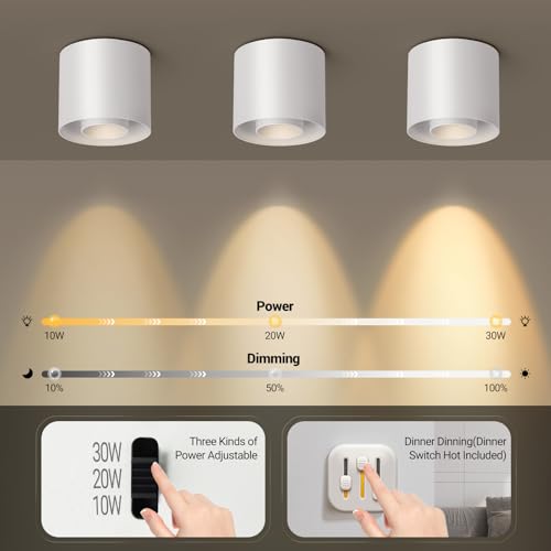 OTeedo 30W Zoomable Ceiling Spotlight Fixture,LED 3 Color Dimmable 4.7"Cylinder Flush Mount Down Lights,20w/10w Power Adjustable Ceiling Lights Spot Light Indoor for Living Room Hallway Kitchen White by OTeedo - Used condition - Image 4