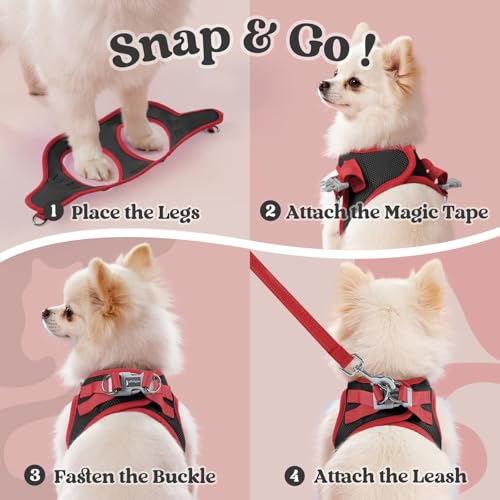 rabbitgoo Dog Harness Small Sized and Leash Set, Step in Soft Vest | Breathable Mesh, Easy Wear with Hook & Loop, Light and Reflective for Walking, Multi-colored, Black & Red, S - Image 3