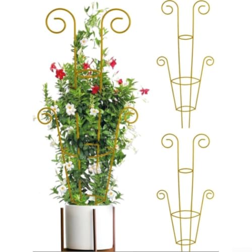 Enrejado de metal fácil de instalar para organizar plantas trepadoras en casa 7