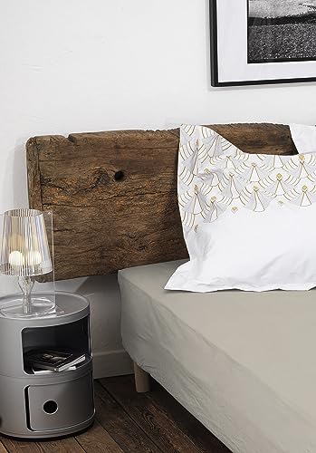 HOME LINGE PASSION, Beige Ivory Fitted Sheet 180 x 200 + 35 cm 100% Cotton 57 Thread Count (Label Oeko-TEX Label) - Image 2