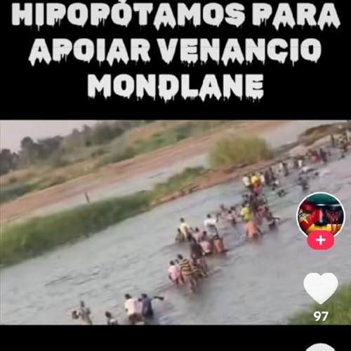 🐊 crocodilo hipop&oacute;tamos d&atilde;o apoio aos pobres que buscam a verdade