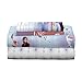 Franco Kids Bedding Super Soft Sheet Set, Full, Disney Frozen 2