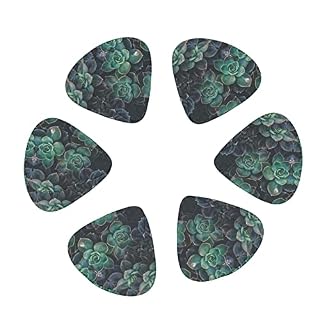 Ensemble de 12 médiators de guitare de plantes succulentes pour guitare acoustique, guitare électrique, contrebasse… - Les Beatles, Paul McCartney, John Lennon, RIngo Starr, George Harrison Ensemble de 12 médiators de guitare de plantes succulentes pour guitare acoustique, guitare électrique, contrebasse… – Image 2