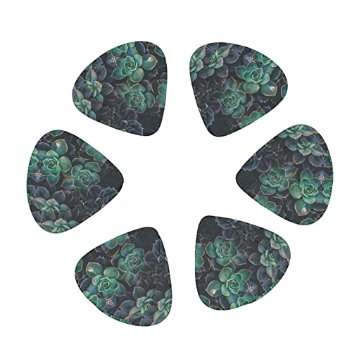 Ensemble de 12 médiators de guitare de plantes succulentes pour guitare acoustique, guitare électrique, contrebasse… - Les Beatles, Paul McCartney, John Lennon, RIngo Starr, George Harrison Ensemble de 12 médiators de guitare de plantes succulentes pour guitare acoustique, guitare électrique, contrebasse… – Image 3