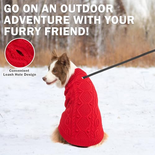 Pull pour chien rouge col roulé pour le bien-être de votre compagnon