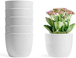 T4U 12CM Self Watering Planters Plastic White Set of 6, Modern Round Flower Pot Indoor Nursery Bonsai Plant Pot for Garden House Plants, Aloe, Herbs and More