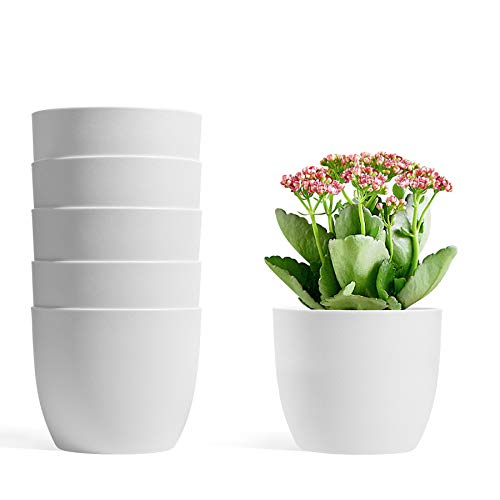 T4U 12cm Selbstwässernder Blumentopf Weiß 6er-Set, Selbstbewässerung Wasserspeicher Pflanzgefäß Übertopf für Innen- und Außenbereich