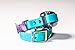 Honey Dog Co- Quick Release ECollar Replacement Strap - Dog Collar - Biothane - Double Buckle - Metal Clasp - Invisible Fence - Shock Collar - Rainbow (Teal)