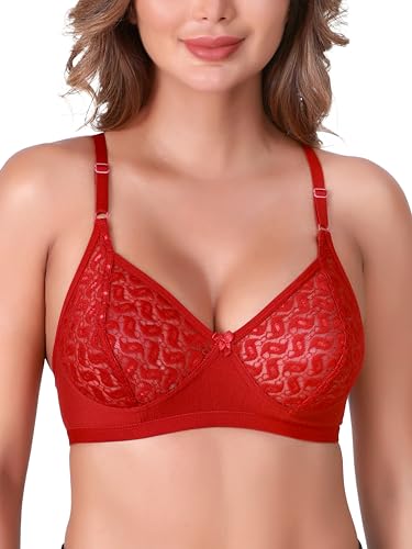 Image of SKDREAMS Naina Net Seamed Non Padded Full Coverage Non-Wired Women Full Coverage Bra