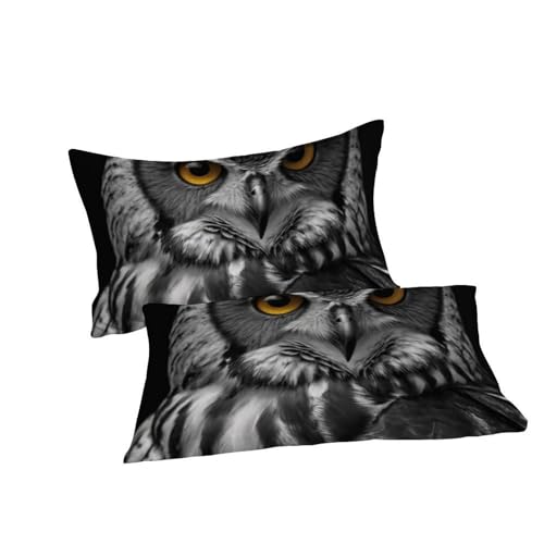 Housse de couette microfibre animaux flying imprimé 3d 260x220 - 7