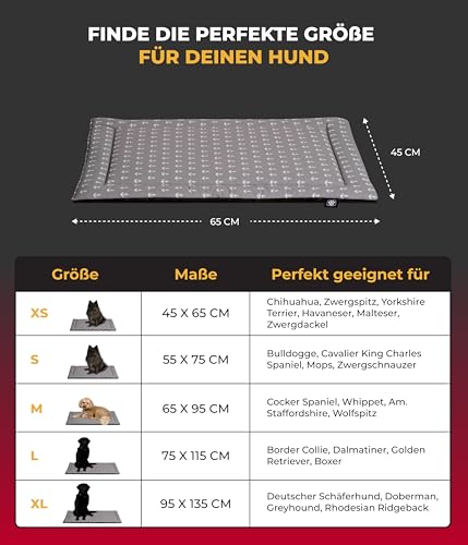 HS-Hundebett® Sommerdecke Baumwolle mit Füllung und Antirutsch XS (45x65 cm) – Gepolsterte Hundedecke für den Sommer – Waschbar & Langlebig – Leichte Hunde Sommerdecke – Anker Grau, Made in DE