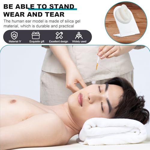 Modèle silicone oreille réaliste SOLUSTRE pour formation médicale - 3