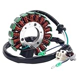 REUISAX Motorrad-Generator-Statorspule, kompatibel mit Kfz-Motorradteilen TW125 TW200 TW225 TW 125 200 225 4WP-85510-10 Kompatibel mit Teilenummer 4WP8551010