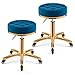 Stołek na kołach Zestaw 2 barowych stołków stołek stołek regulowany stołek obrotowy stołek do salonu, fabryki, kliniki w salonie sklepowym (Color : G)