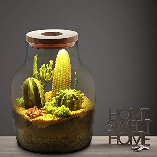 Lecani Large Glass Plant Terrarium Propagation Station With Led Plant Light And Breathable Wooden Lid, 7.8”D X 10.5”H, Multi-Use Diy Desktop Plant Pot Flower Vase Jar For Office And House Decor #TOP3