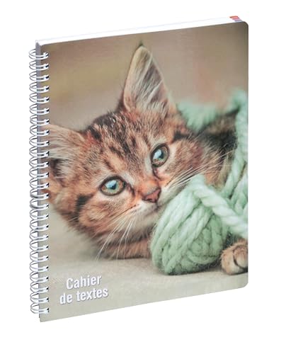 Exacompta - 999169E - Cahier de textes Animaux - 17 x 22 cm - Visuel chaton