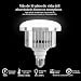 Imagen de Kit de Iluminación Profesional Softbox 40 x 40 cm
