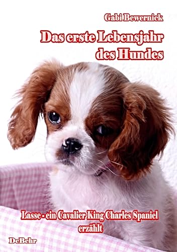 Das erste Lebensjahr des Hundes - Lasse - eine Cavalier King Charles Spaniel erzählt: Welpe und Junghund: Das Buch vom Hund - Welpe und Junghund
