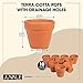 Juvale Terracotta Pots - Unglazed Clay Pots for Plants - Drainage Hole Design & 2 Terracotta Saucers - Compact Planter for Herbs & Succulents - 2.5 in, Pack of 10, Brown, 2 Saucers
