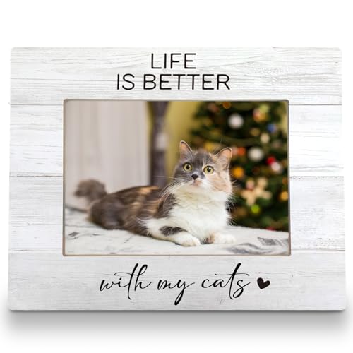 FLDAS Cats Picture Frame 8x10, Cat Lover Gift Photo Frames, Gifts for Cat Lovers Women Men Girl boy, Gift for Pet Lovers Picture Frame, Life is Better with My Cats Photo Frames 5X7